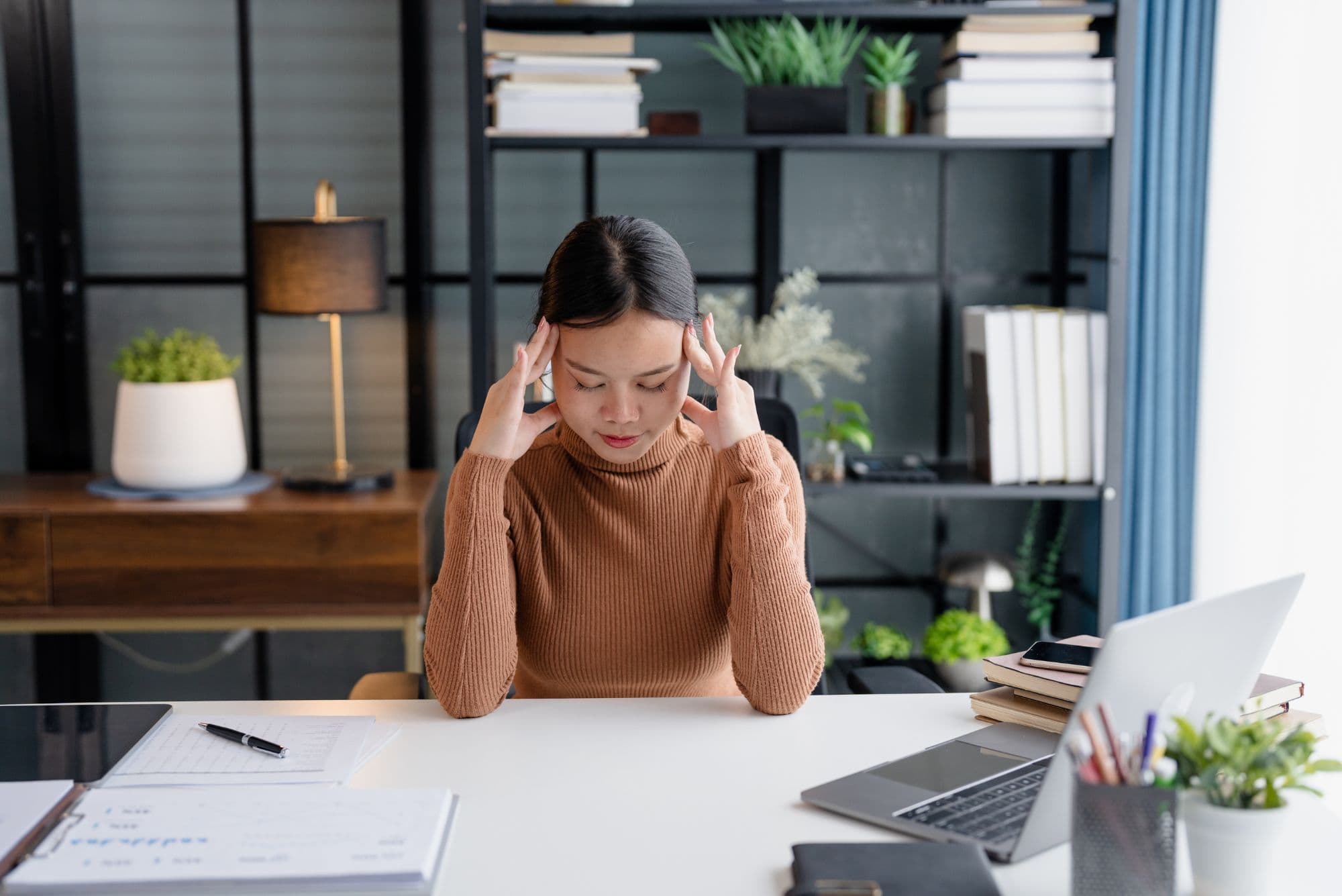 Stress cortisol and the executive burnout cycle
